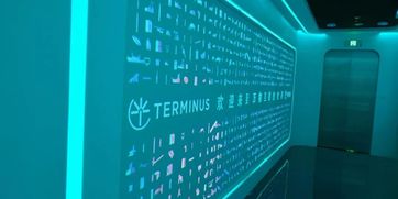 走進(jìn)特斯聯(lián)，領(lǐng)略萬物互聯(lián)新時代